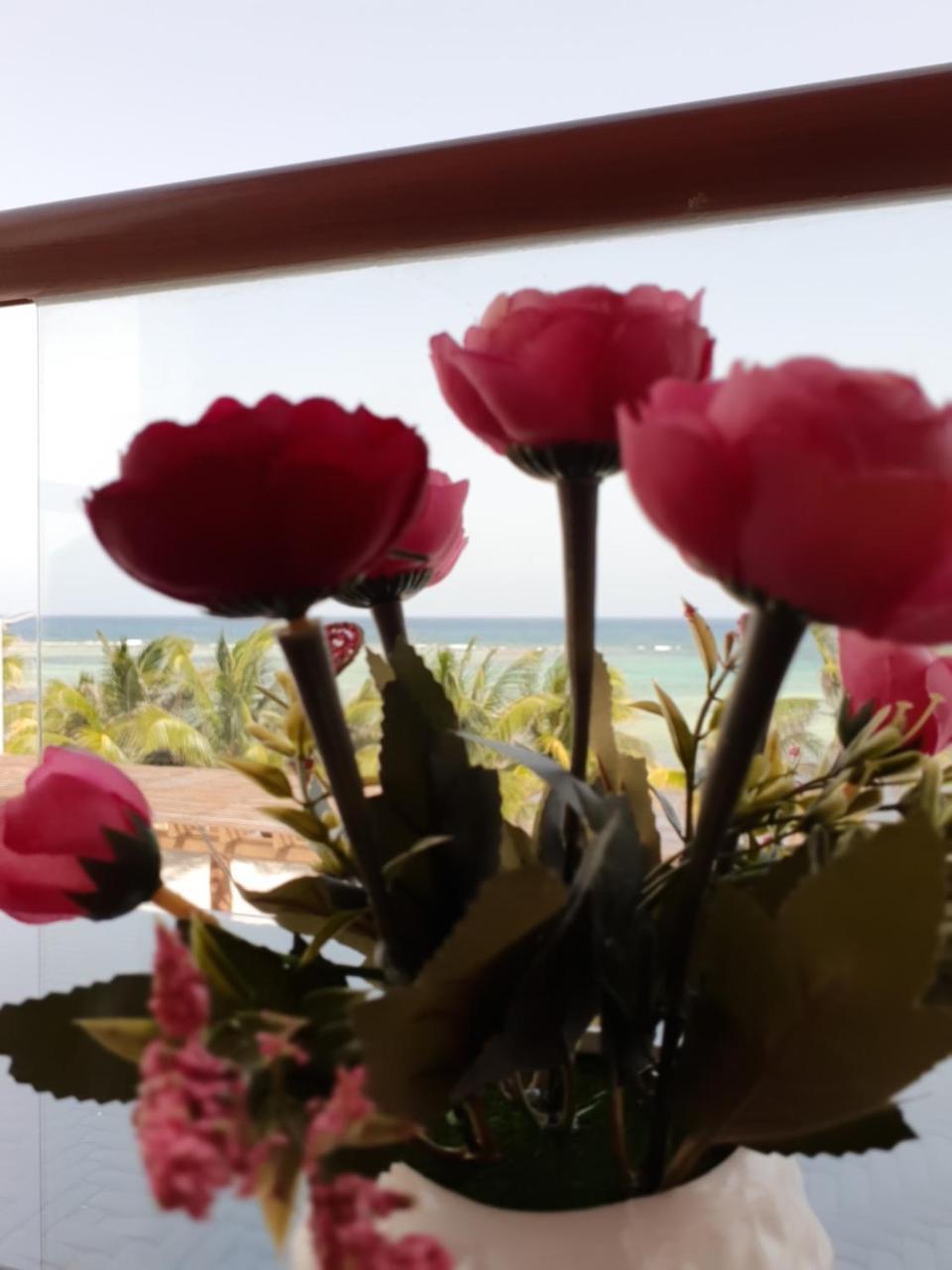 ماهاهوال Aquastar By Rt Vacation Rentals المظهر الخارجي الصورة
